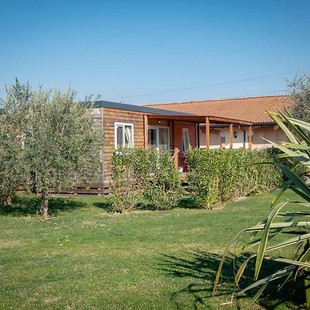 Agriturismo Tre Colline 바르돌리노 외부 사진